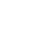 Vyvedas